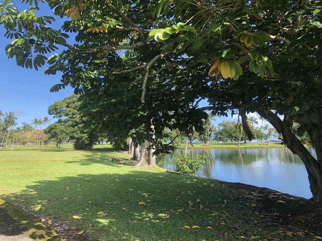 Stunning Views Best Location In Hilo 2Br Modern Condo Esterno foto